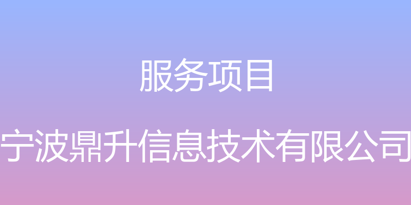 服务项目 - 宁波鼎升信息技术有限公司