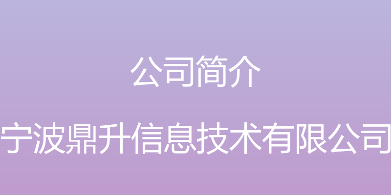 公司简介 - 宁波鼎升信息技术有限公司