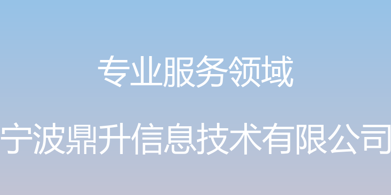 专业服务领域 - 宁波鼎升信息技术有限公司