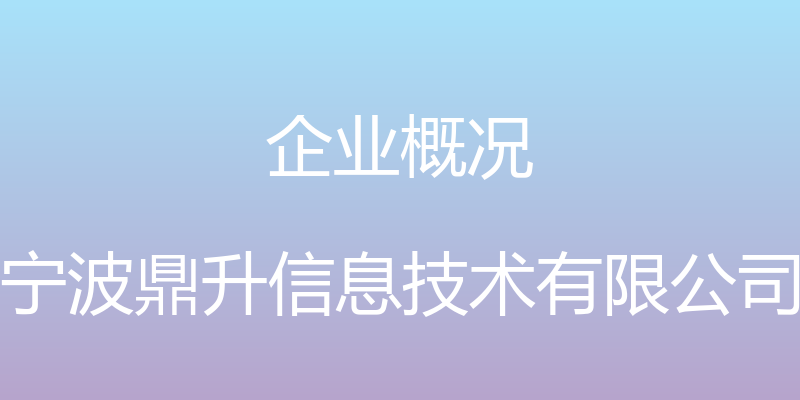 企业概况 - 宁波鼎升信息技术有限公司